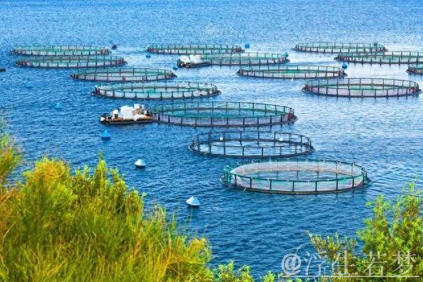 “乘数效应”打造10万亿市场 海洋经济成中国经济增长“蓝色引擎” “乘数效应”打造10万亿市场 海洋经济成中国经济增长“蓝色引擎”